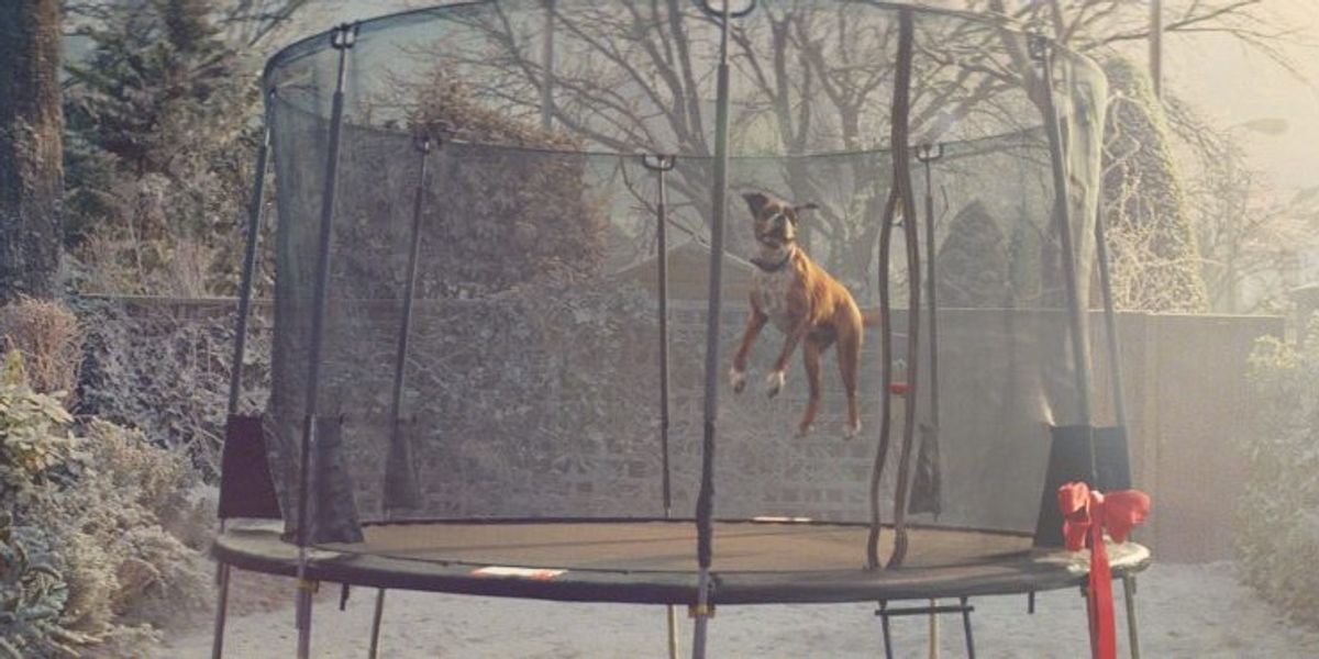 Post 'Whats the nations favorite John Lewis advert?' featured image