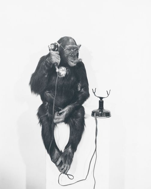 Post 'GET ON THE BLOODY PHONE!' featured image